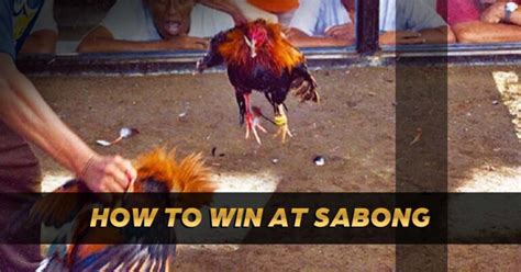 upub sabong|Sabong Philippines .
